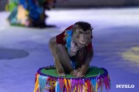 Цирковое шоу Жар птица, Фото: 74