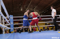 Финал турнира по боксу "Гран-при Тулы", Фото: 164