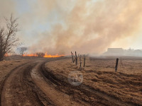 В Федоровке огонь с горящего поля едва не перекинулся на дома, Фото: 12