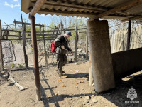 Тульские спасатели дезинфицируют территории в Дагестане и помогают жителям, Фото: 3