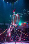 "Чудеса под Новый год" в Тульском цирке, Фото: 3