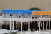 Тестирование на антитела к COVID-19, Фото: 2