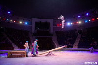 Звезды манежа в цирке, Фото: 46