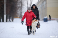 В Туле прошла Всероссийская выставка собак, Фото: 12