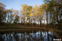 Золотая осень по-тульски, Фото: 10