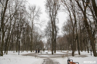 Рогожинский парк, зима 2019, Фото: 15
