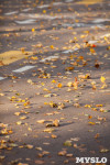 Золотая осень в Туле-2019, Фото: 116