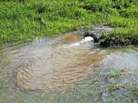 В Пролетарском районе Тулы затопило улицы и дворы: вода хлещет из колодцев, Фото: 17