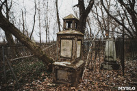 Кладбища Алексина зарастают мусором и деревьями, Фото: 73