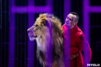 Шоу фонтанов «13 месяцев»: успей увидеть уникальную программу в Тульском цирке, Фото: 228
