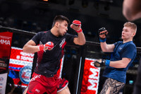 В «Тула-Арене» состоялись областные соревнования по ММА, Фото: 118