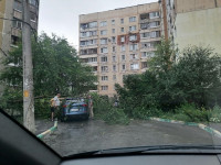 Поваленные деревья на ул. Пузакова, Фото: 24