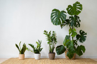, Фото: 6