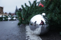 Установка новогодней елки на площади Ленина, Фото: 4