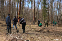 Посадка деревье в Ясной Поляне. 17.04.2015, Фото: 24