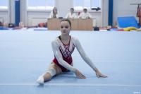Всероссийские соревнования по спортивной гимнастике, Фото: 28