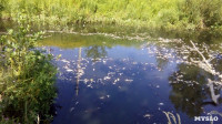 В реке Воронке отравили рыбу?, Фото: 4