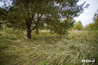 Эко-курорт «Ясно Поле», Фото: 16