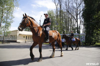 Конный патруль в Туле, Фото: 2