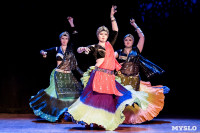 В Туле показали шоу восточных танцев, Фото: 143
