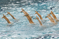 первенство цфо по синхронному плаванию, Фото: 51