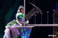 Цирковое шоу Жар птица, Фото: 22