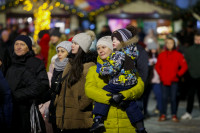 Открытие новогодней ёлки на площади Ленина, Фото: 90