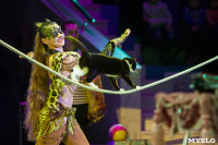 "Тайна пирата" в Тульском цирке, Фото: 4