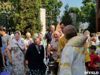В Князь-Владимирском храме на территории Туламашзавода прошли Божественная литургия и крестный ход, Фото: 58