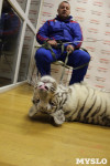 Цирк "Максимус" и тигрица в гостях у Myslo, Фото: 17