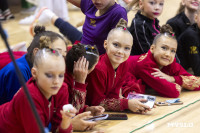 В Туле стартовало первенство Центрального федерального округа по художественной гимнастике, Фото: 57