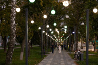 Кимовск-Донской-Новомосковск-Узловая, Фото: 38