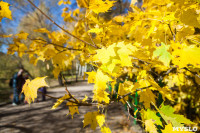 Золотая осень в Ясной Поляне, Фото: 2