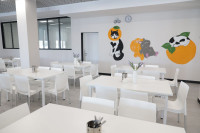 Строить качественно и быстро: Дмитрию Миляеву показали школы в новых ЖК в Туле, Фото: 4