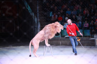 Новая программа в Тульском цирке «Нильские львы». 12 марта 2014, Фото: 17