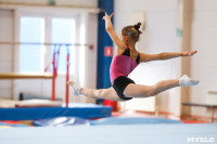 Соревнования по художественной гимнастике, Фото: 75