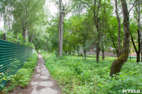 Яблоневый сад и роща на ул. Серова, Фото: 14