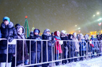 На площади Ленина прошло закрытие главной городской ёлки, Фото: 3