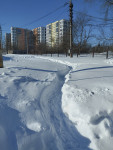 Туляк проинспектировал улицу Карпова, Фото: 15