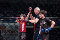 В «Тула-Арене» состоялись областные соревнования по ММА, Фото: 128