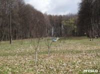 «Тульское землячество» высадило молодые деревья в музее-усадьбе «Дворяниново», Фото: 3