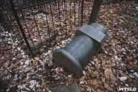 Кладбища Алексина зарастают мусором и деревьями, Фото: 33