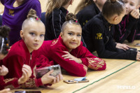 В Туле стартовало первенство Центрального федерального округа по художественной гимнастике, Фото: 56