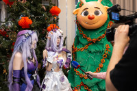 Вершина зимы-2026, Фото: 101