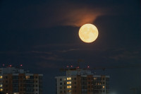 Осетровая Луна 2025, Фото: 19