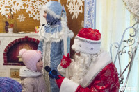 В Туле открылась резиденция Деда Мороза, Фото: 29