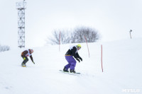 II-ой этап Кубка Тулы по сноуборду., Фото: 48