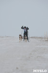 Гонки на собачьих упряжках «Большой тур» на Куликовом поле, Фото: 51