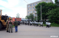 В Плеханово готовятся к сносу незаконных строений, Фото: 1