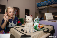 В Туле прошла выставка «Пряничные кошки» , Фото: 67